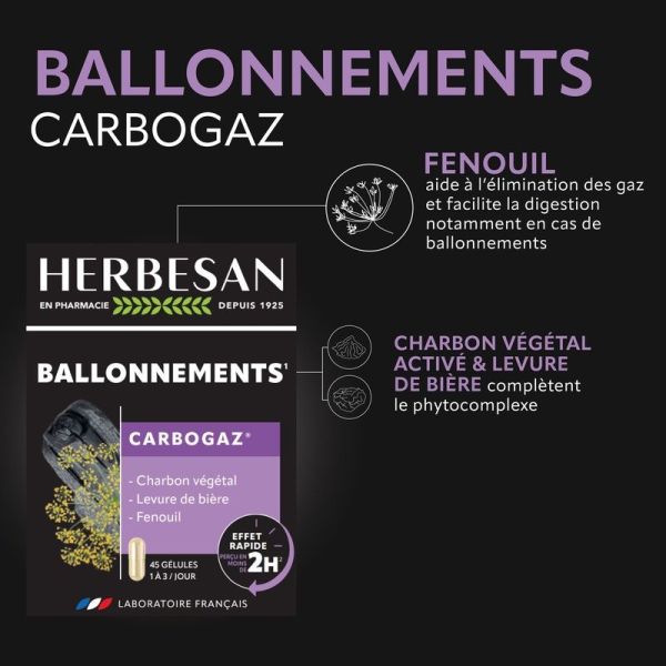 Carbogaz - 45 gélules