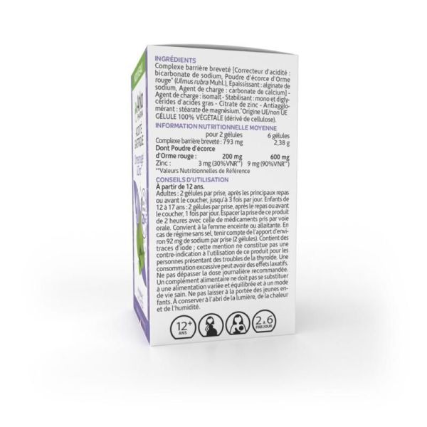 Arkogélules Orme rouge et Zinc - 40 gélules