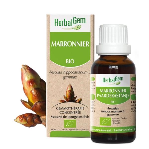 Concentrés de bourgeons Marronnier - 15 ml