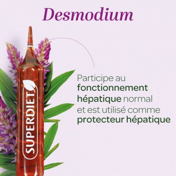 Desmodium - 20 ampoules