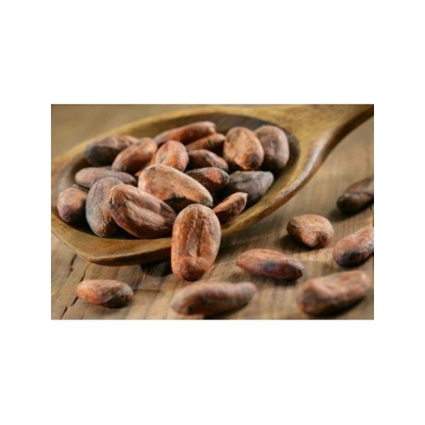 Choco infusion Bio - 17 sachets