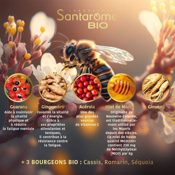 Manuka Royal Énergie Boostée - 20 ampoules