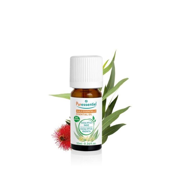 Huiles essentielles Huile Essentielle Eucalyptus Radié BIO - 10 ml