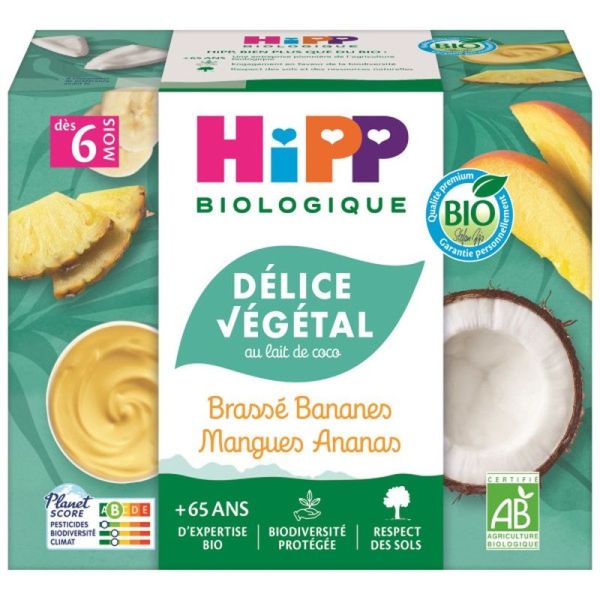 Délice Végétal Brassé Bananes Mangues Ananas - 4x100g