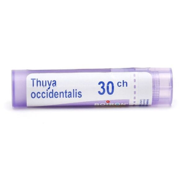 Thuya occidentalis granules homéopathie Boiron - 30 CH