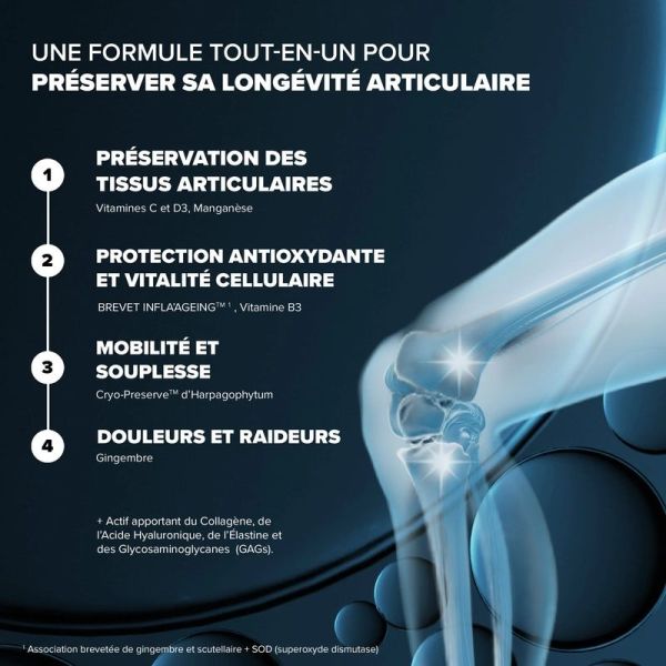 Santé Longévité Capital Articulaire - 60 gélules