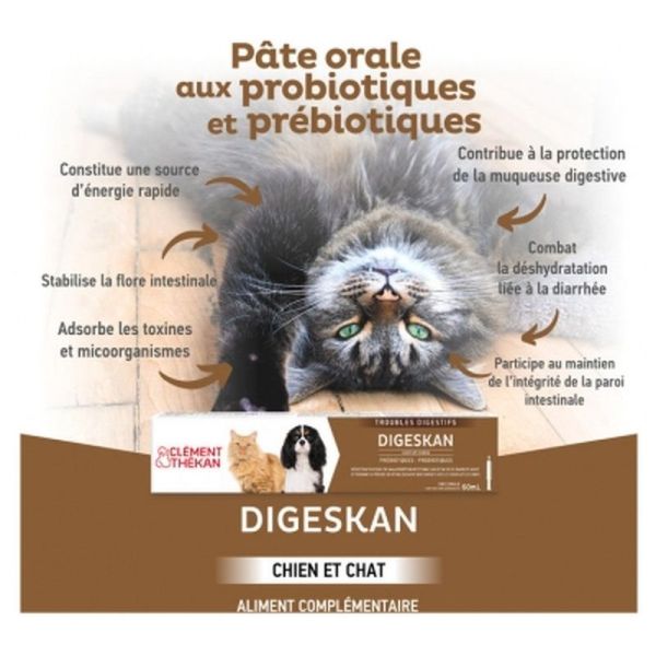 Digeskan Pâte orale - 60ml