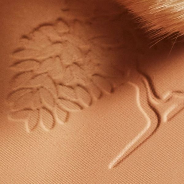 PRODIGIEUX® Poudre éclat - 25 g