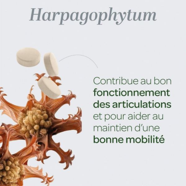 Harpagophytum Bio - 80 comprimés