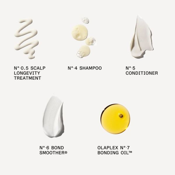 THE HEALTHY HAIR DISCOVERY SET