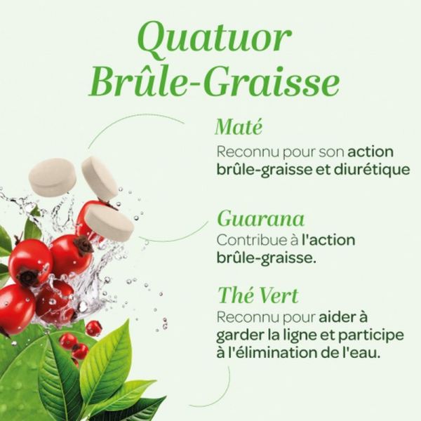 Quatuor Brûle-graisse Bio - 150 comprimés