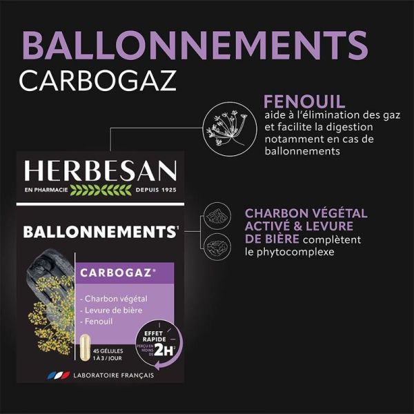 Carbogaz - 45 gélules