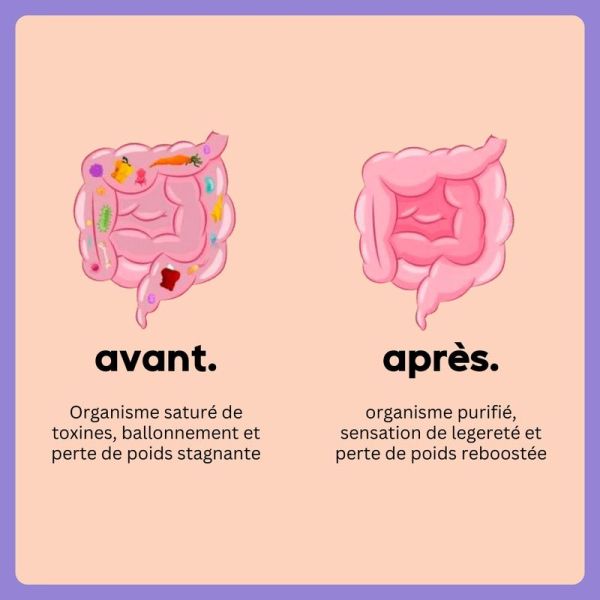 wander detox express - Pêche - 1 sachet