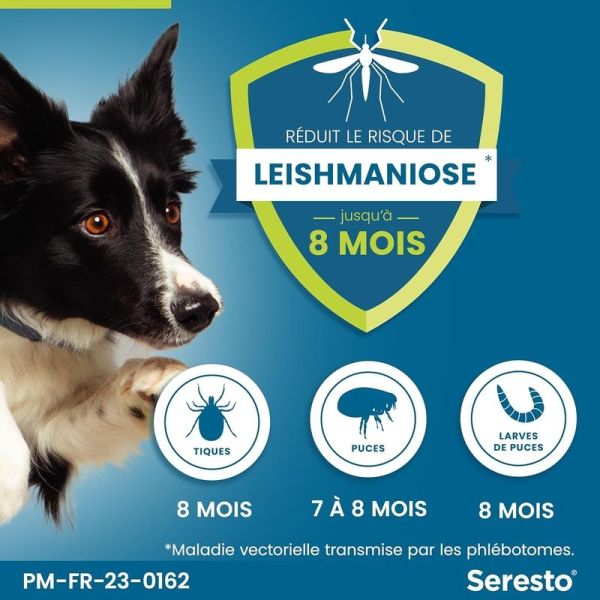 Seresto Chien – Collier Anti-Puces et Anti-Tiques pour Grands Chiens - 8 kg et Plus