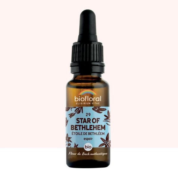 Fleur de Bach n°29 Star of Bethlehem - 20 ml