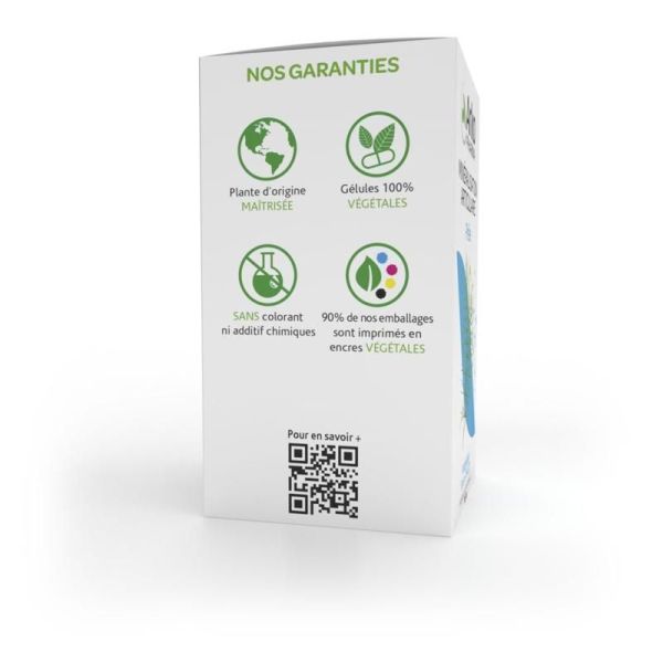 Arkogélules® Prêle - 150 gélules