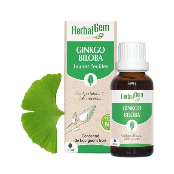 Concentrés de bourgeons Bourgeon de Ginkgo Biloba - 30ml