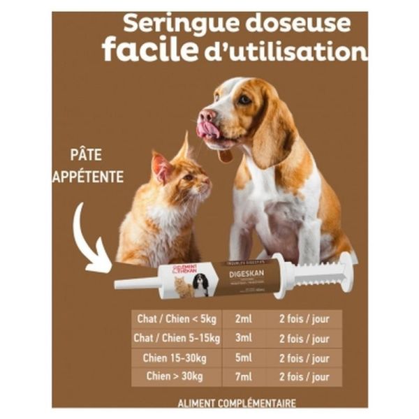 Digeskan Pâte orale - 60ml