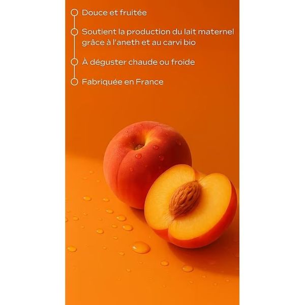 Maternité Tisane Allaitement - 20 sachets