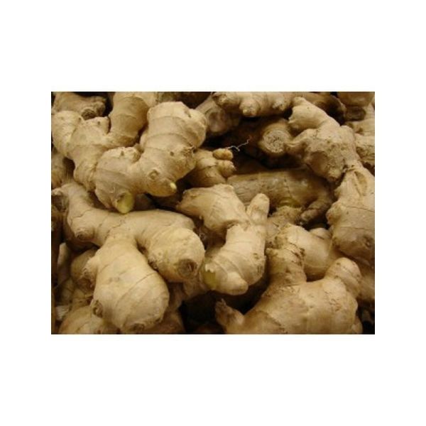 Gingembre Citron - 17 sachets