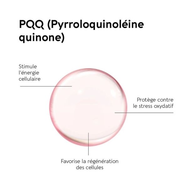PQQ forte 20 mg - 10 gélules