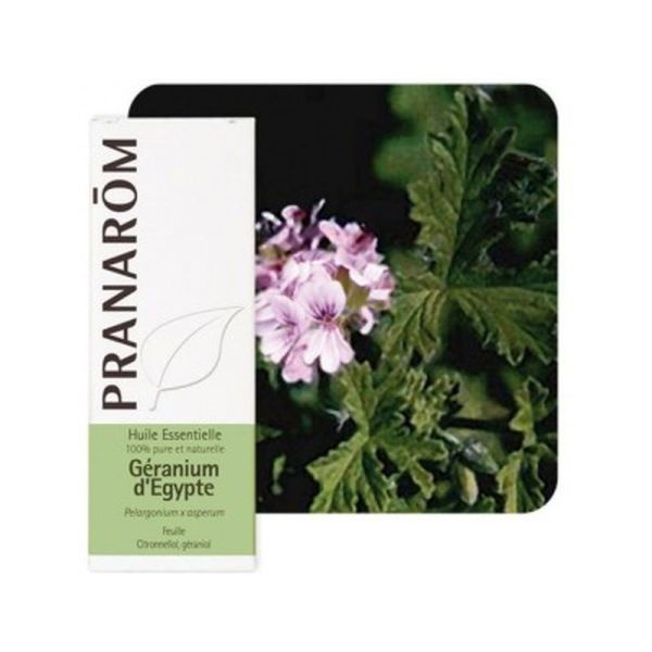 Pranarôm Huile Essentielle Géranium d'Egypte (Pelargonium graveolens) - 10 ml 