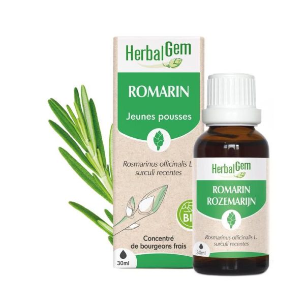 Concentrés de bourgeons Bourgeon de Romarin - 30 ml