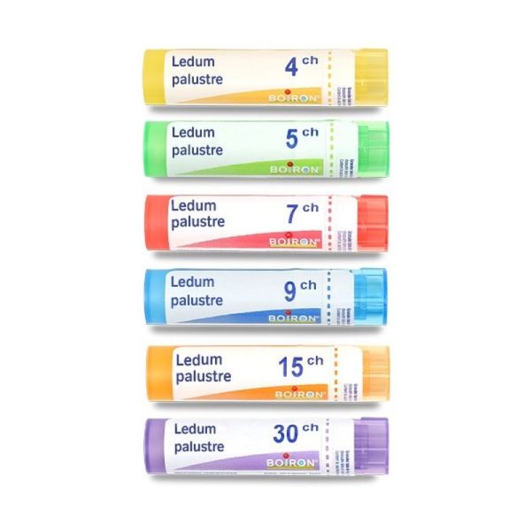 Boiron Ledum palustre granules - 7 CH