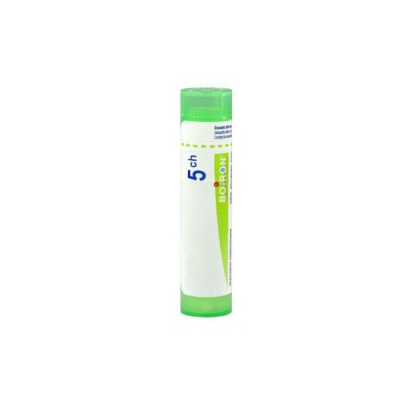 Boiron Teucrium marum 5CH granules homéopathiques - 5 CH