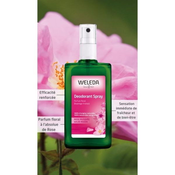 Rose Musquée Déodorant Spray à la Rose Musquée - Duo