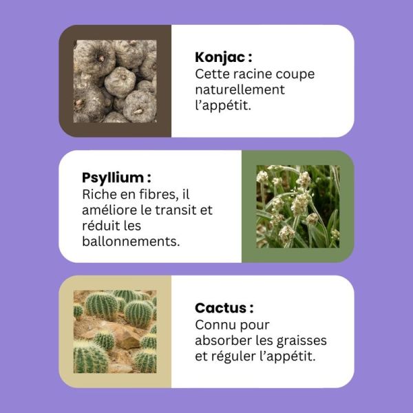 wander magic powder - Fruits Exotiques - 1 sachet