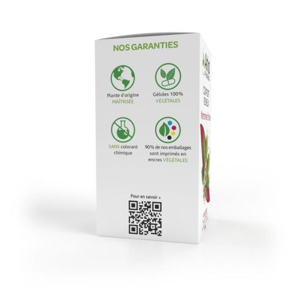 Arkogélules® Marronnier d'Inde - 45 gélules