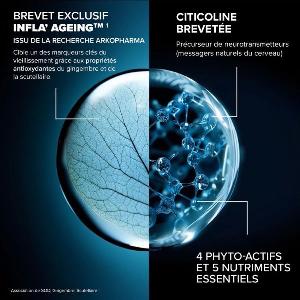 Santé Longévité Capital Cérébral - 60 gélules