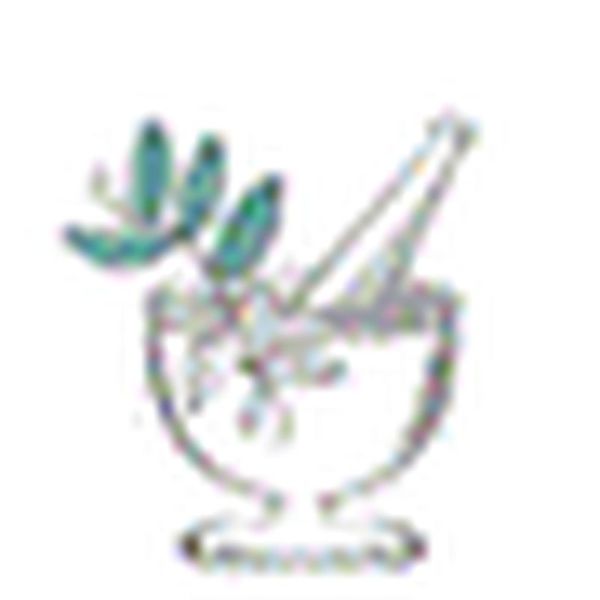 Huile essentielle Coriandre - 10ml