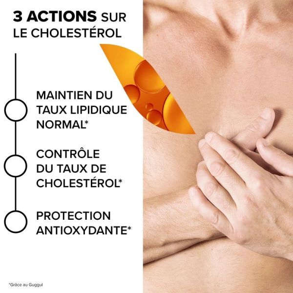 Complexe Phyto LDL Control - 60 gélules