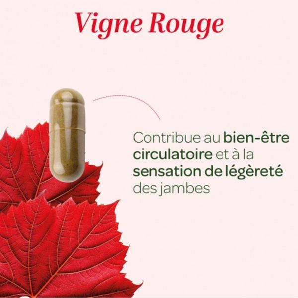 Vigne rouge Bio - 90 gélules