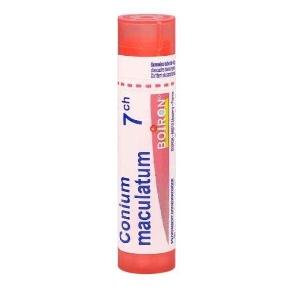 Conium Maculatum   T Grls  7Ch