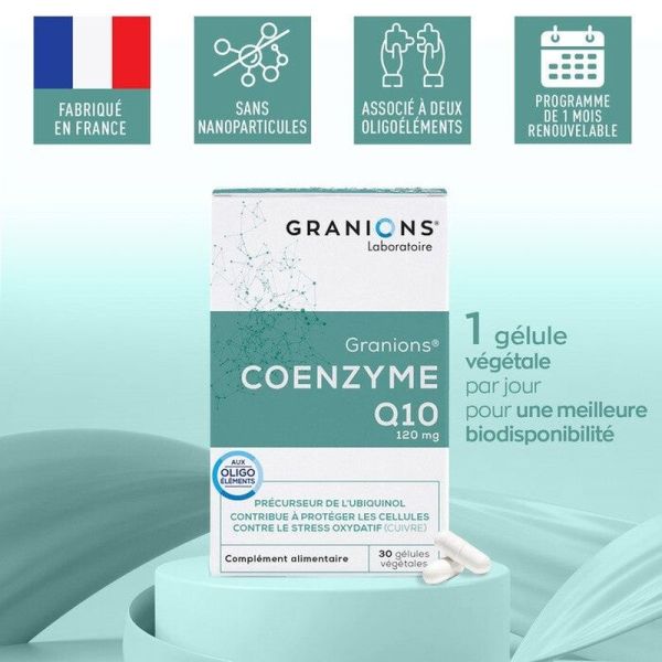 Coenzyme Q10 - 30g
