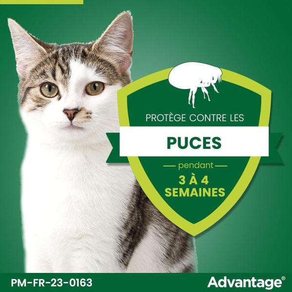Advantage Chat & Lapin de moins de 4 kg - 4 x 0,4 ml
