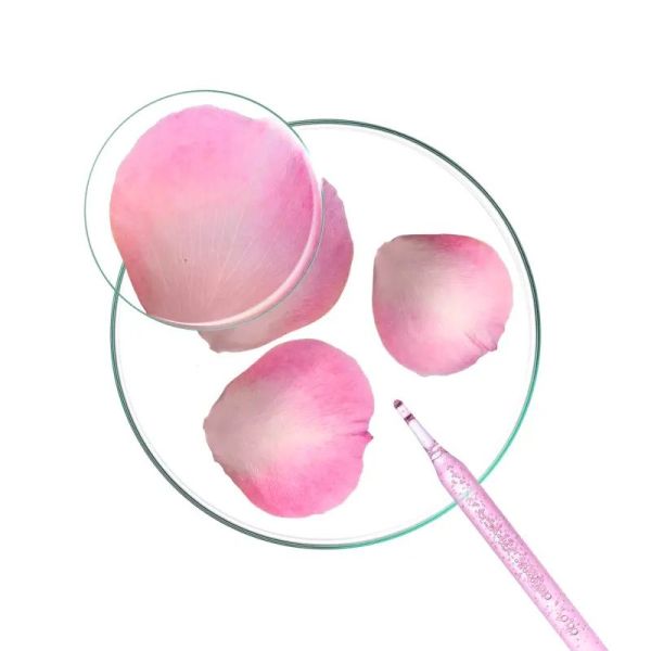 Après-shampoing à la pivoine bio - Tube - 150 ml
